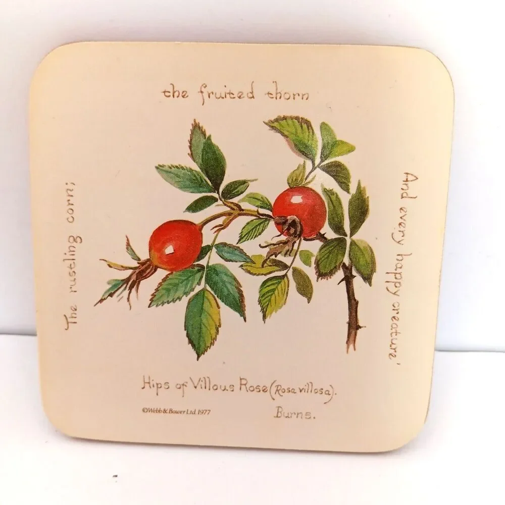 Vintage Richard Webb Coasters 1977 Cork Backed Cream with Flowers and Poems